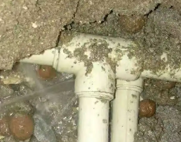 武定测漏水多少钱