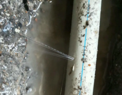 武定测漏水哪家好