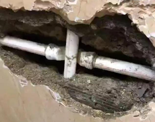 武定测漏水哪家好