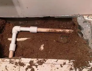 武定测漏水哪家好