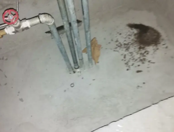 武定卫生间测漏水价格明细