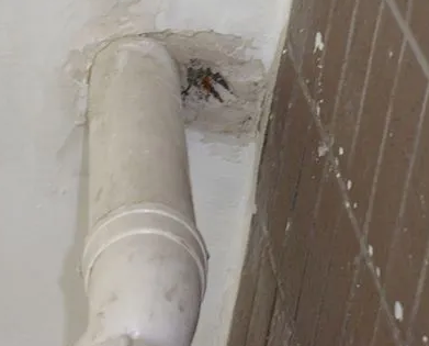 武定漏水检测哪家好